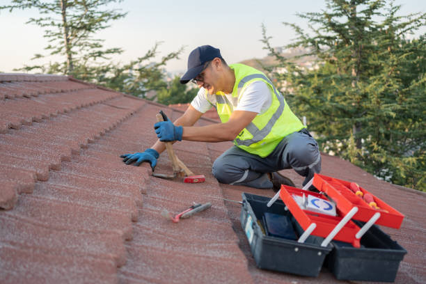 Best Roof Maintenance Services  in Decatur, MI