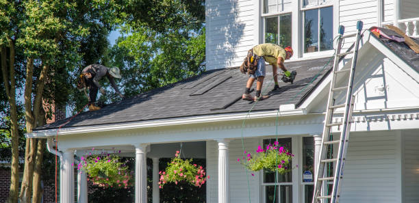 Best Roof Gutter Cleaning  in Decatur, MI